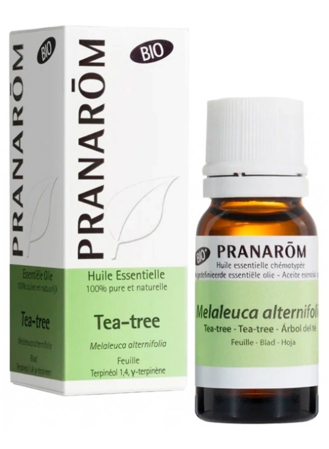 PRANAROM Pranarôm Bio Essential Oil Tea-Tree (Melaleuca alternifolia) 10ml - Image 1